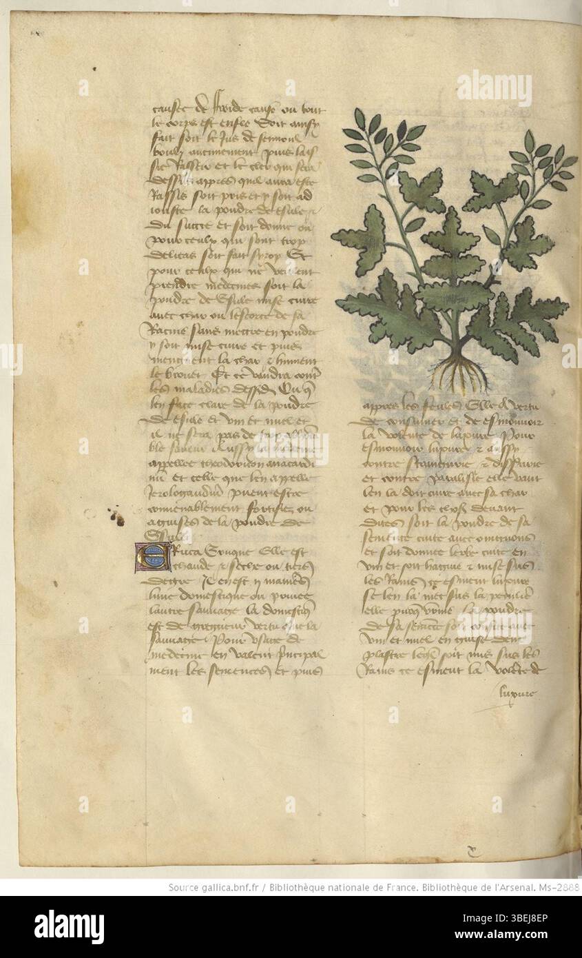 This manuscript folio, part of *Arsenal Ms-2888*, dates from between ...