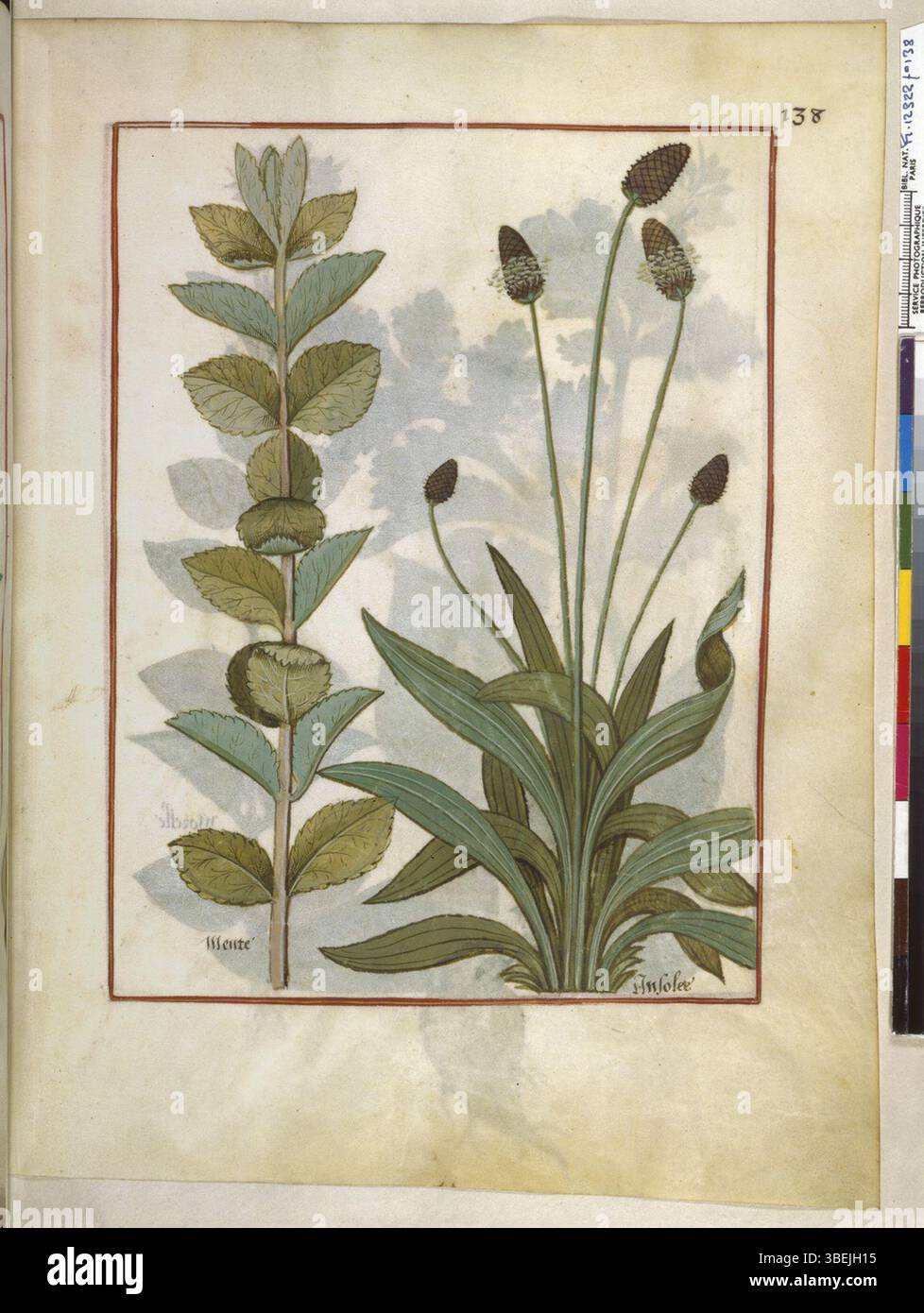 Page f.138r of BnF Français 12322, from 1520–1530, highlights ...