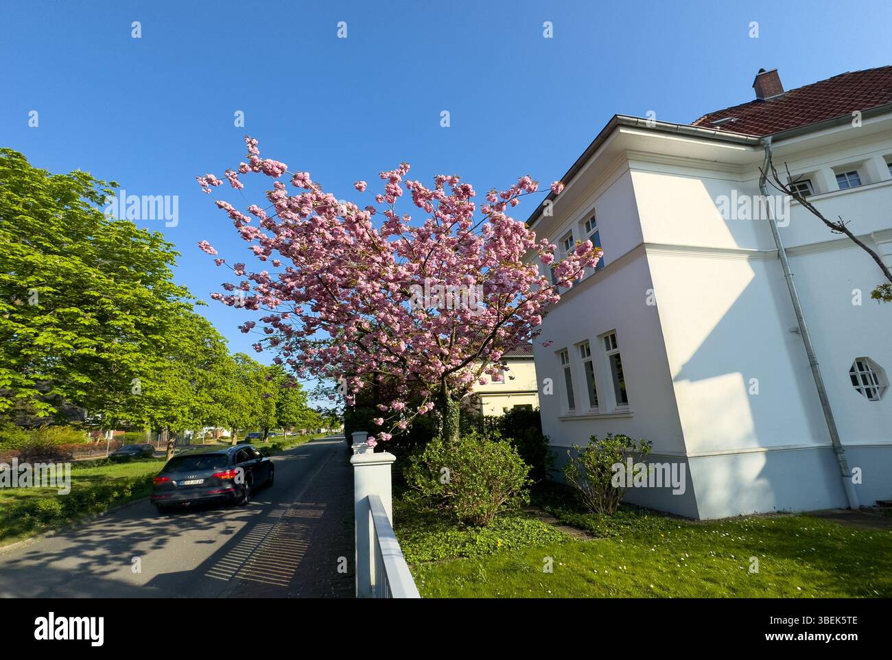 20.04.2025, Germany, Lower Saxony, Verden, - Villa on a street in the small town. 00A250420D003CAROEX.JPG [MODEL RELEASE: NOT APPLICABLE, PROPERTY REL Stock Photo