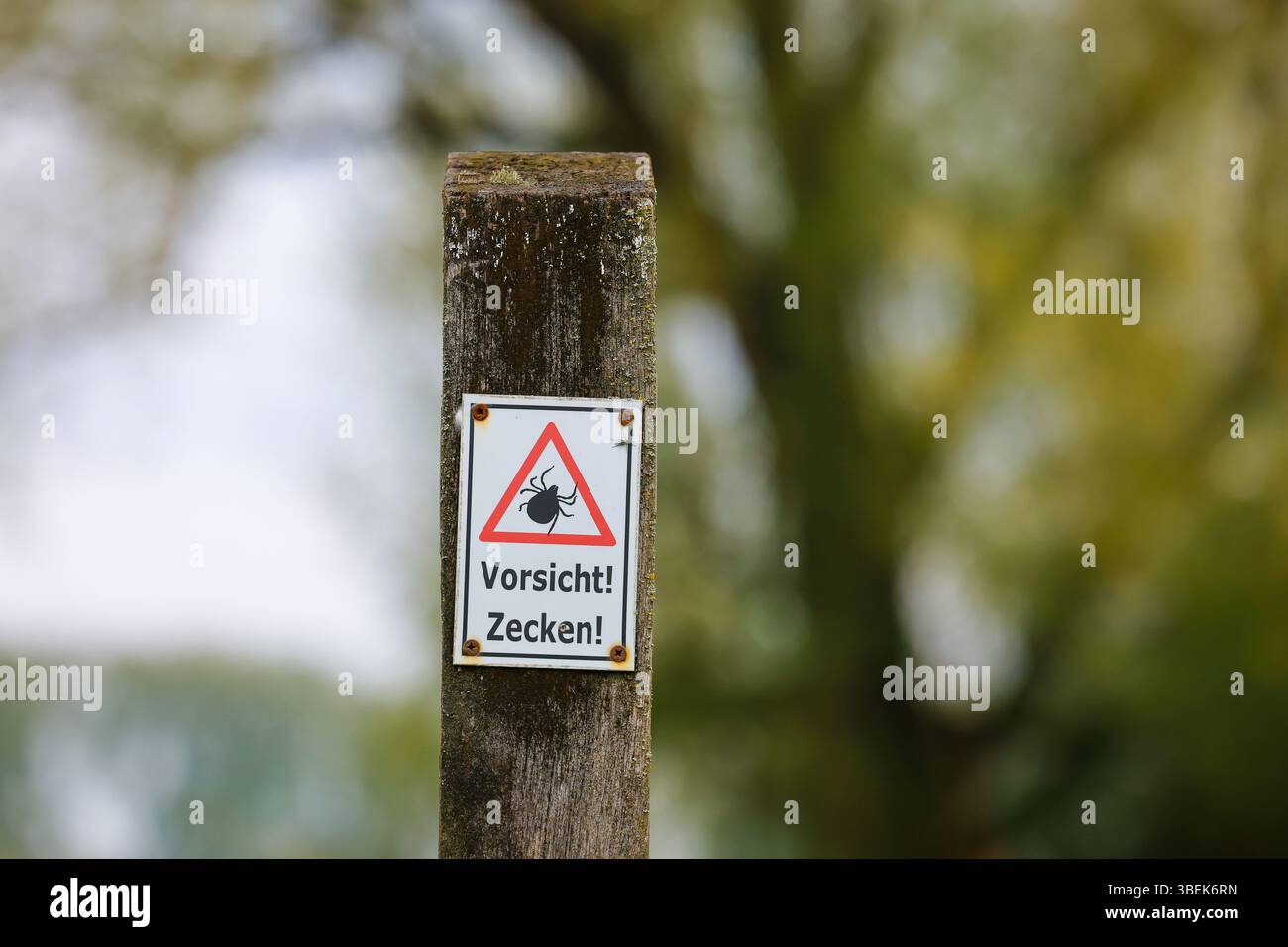 04.05.2025, Germany, North Rhine-Westphalia, Duesseldorf, - Watch out! Ticks, warning sign on the hiking trail in the Urdenbacher Kaempe nature reserv Stock Photo