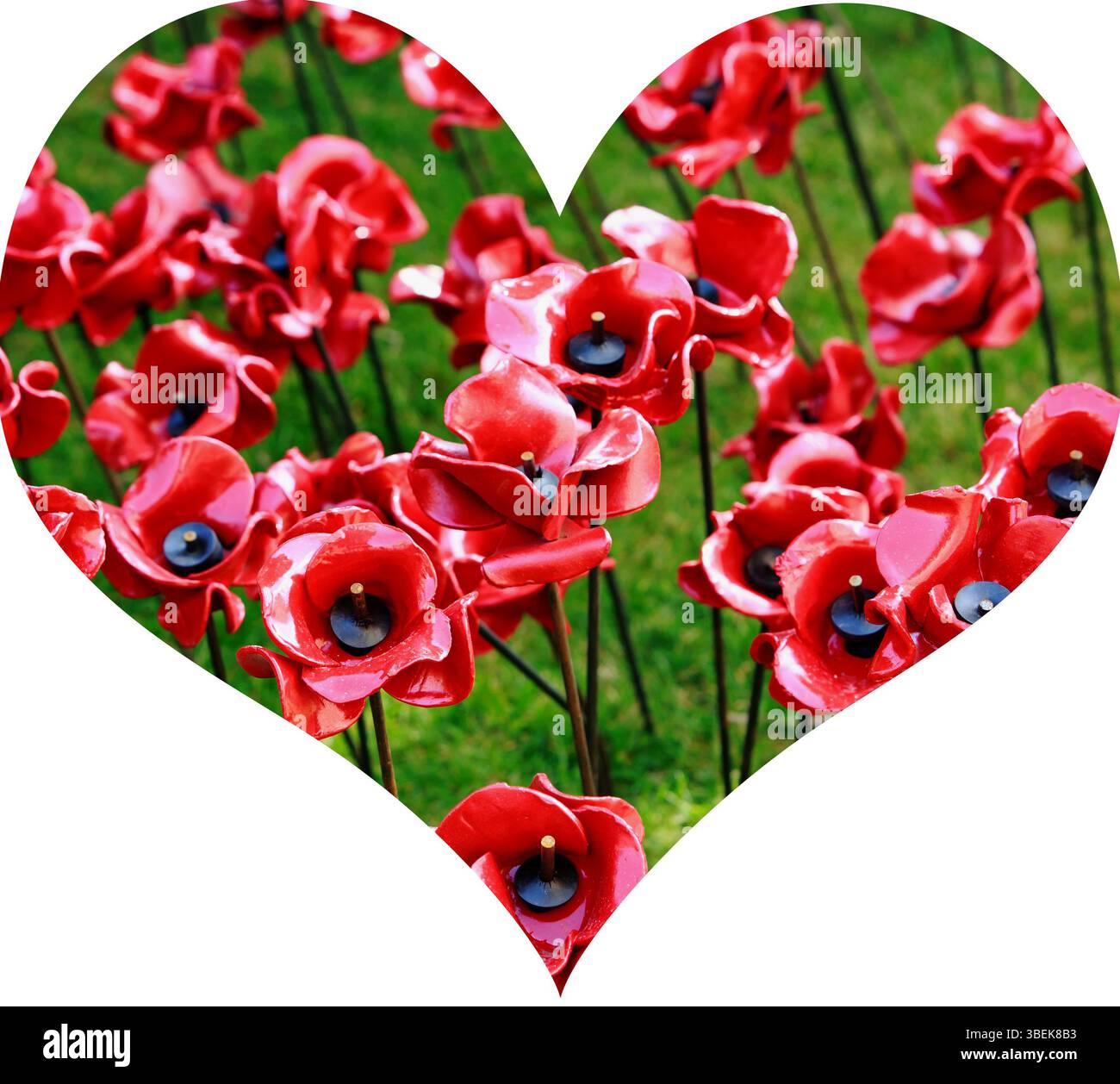 Cluster of Ceramic Blood Red Poppies installed on a lush green lawn in Tower of London to celebrate end of WWII in europe. Stock Photo