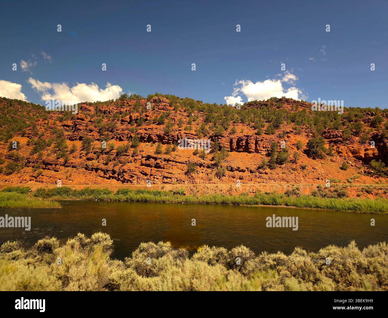 Red rock cliffs and green riverbanks along the Colorado River in the Southwest United States. - Smartphone Captured Stock Image