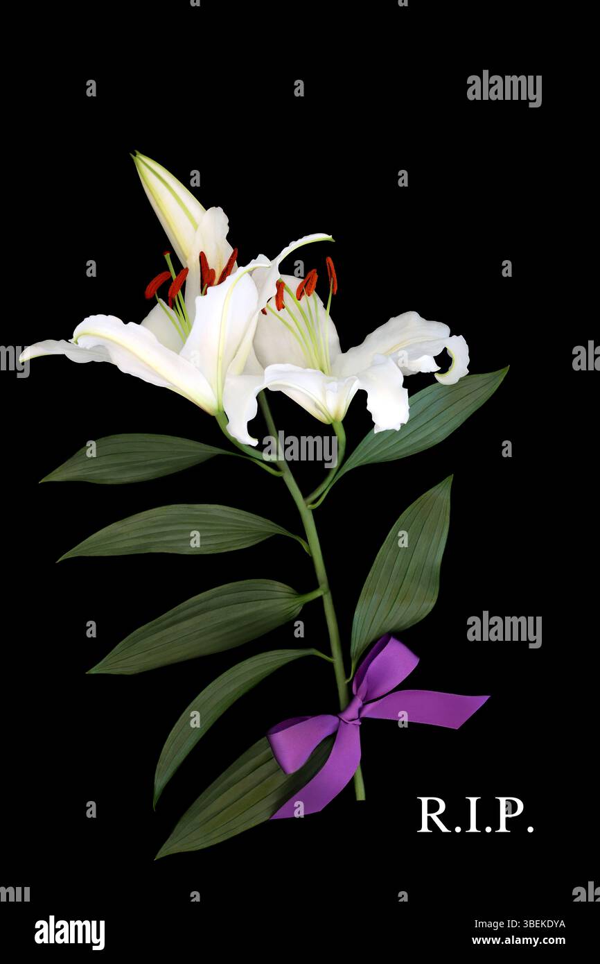 Rip in sympathy floral hi-res stock photography and images - Alamy
