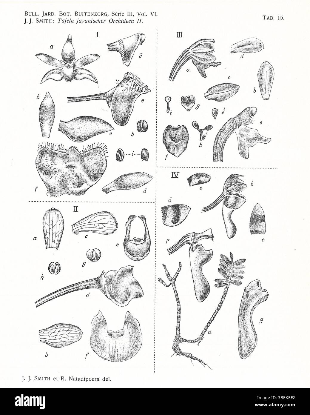 This illustration by Johannes Jacobus Smith from 1924 showcases ...