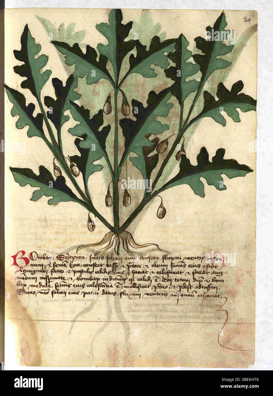This page from Munich Cim. 79, folio 031r, created after 1440 ...