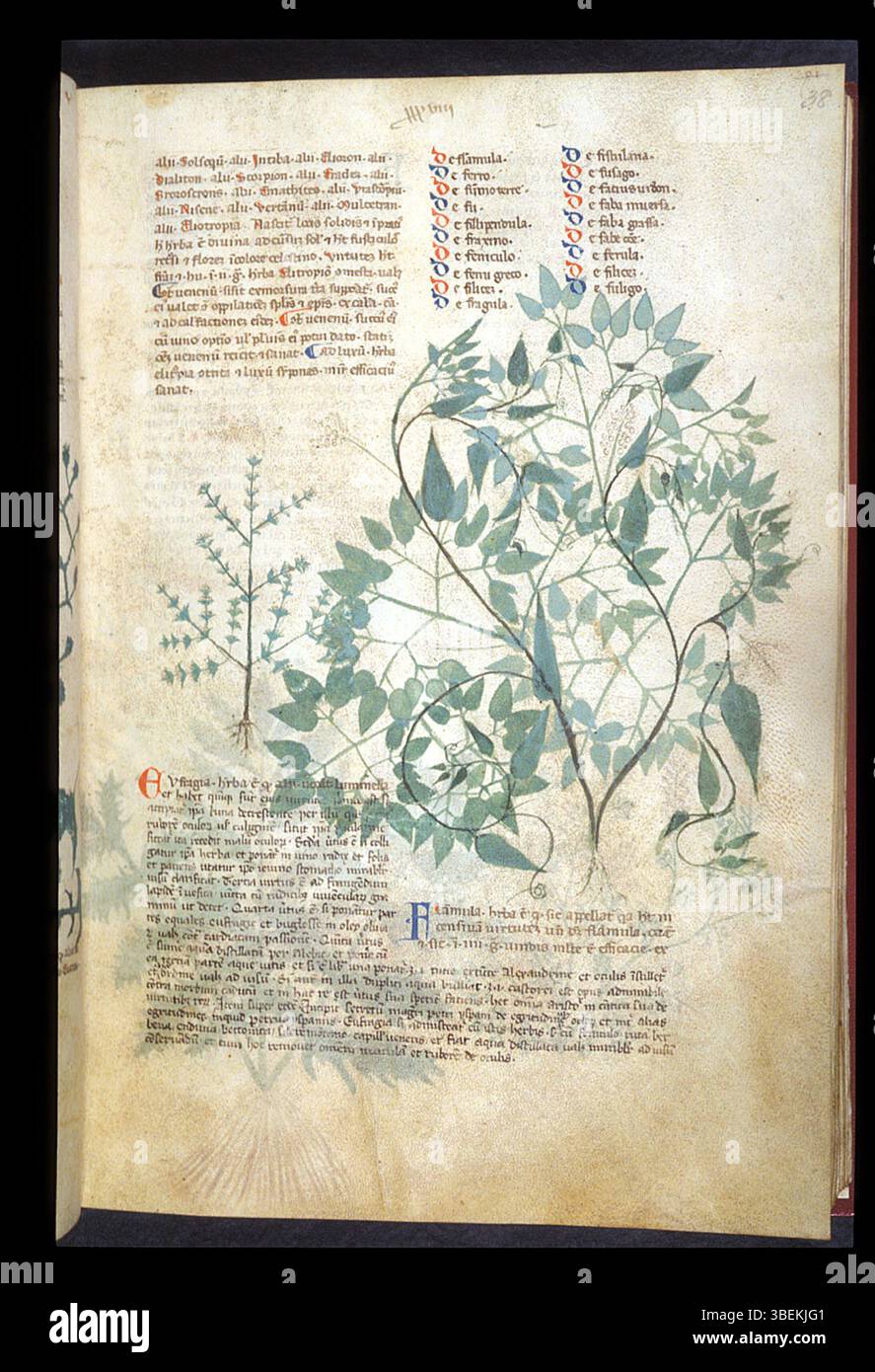 The manuscript BL Egerton 747, folio 038r, contains work by ...