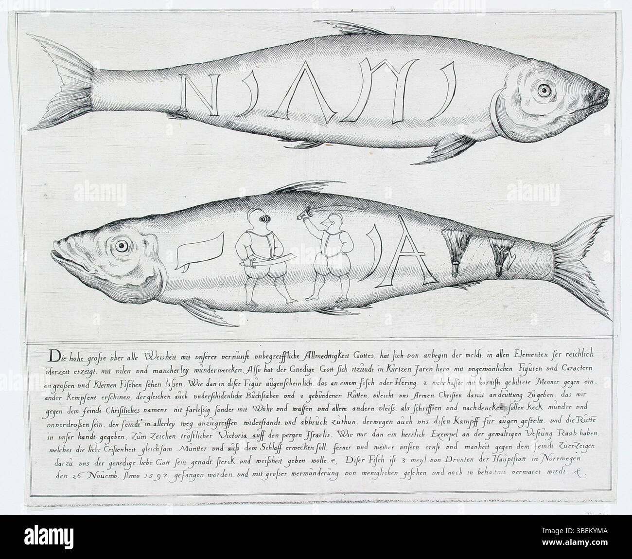 This engraving depicts the front and back views of a fish, with figures ...