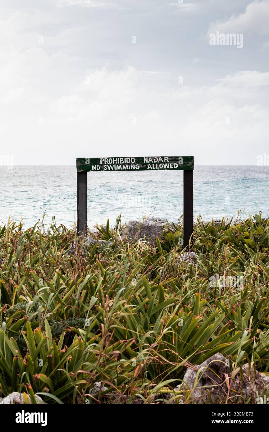Overlooking Sign A no swimming sign prominently stands amidst vibrant greenery on the ...