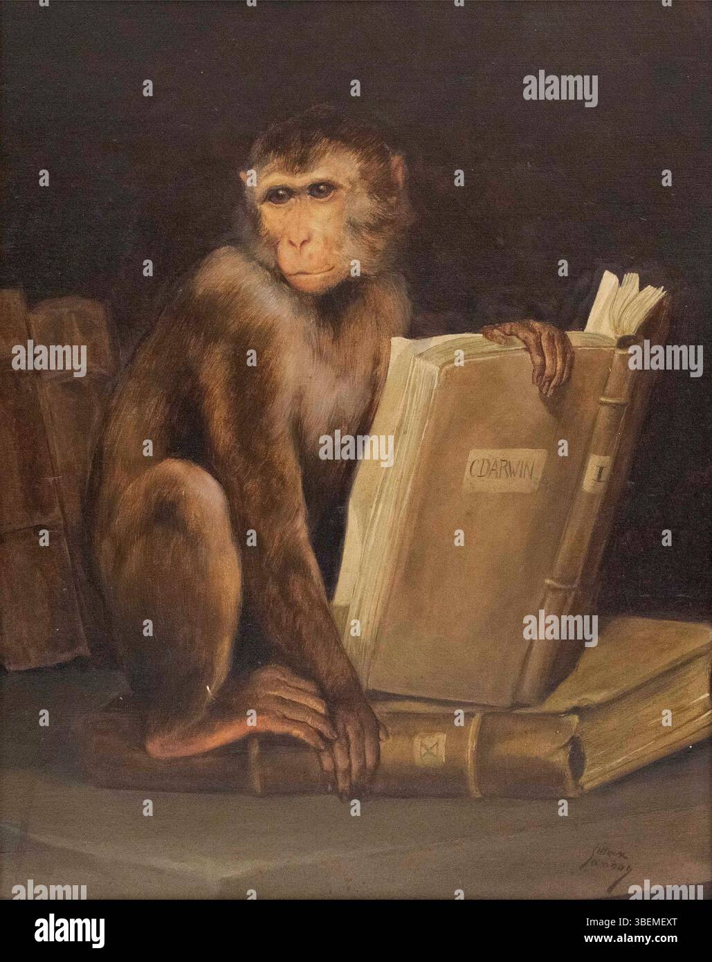 This painting by Max Samson depicts a monkey holding Charles Darwin’s ...