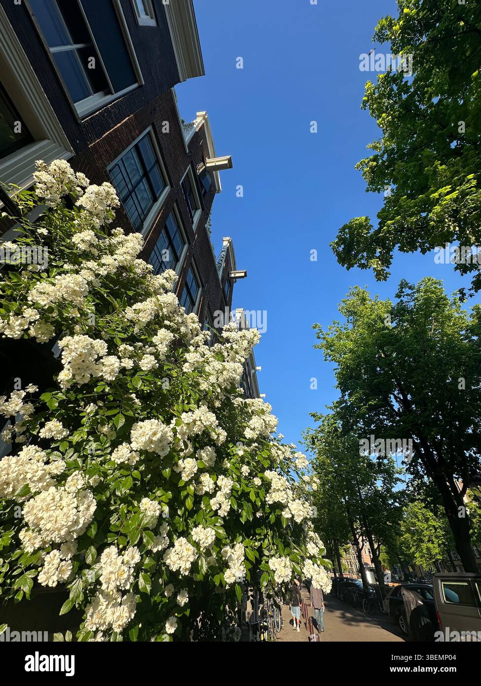Canals with historic canal houses in summertime on beautiful sunny day. postcards for travel in Europe, The Netherlands. - Smartphone Captured Stock Image