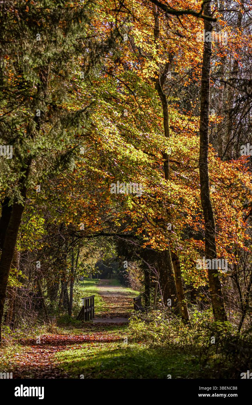 A beautiful landscape showcases the stunning natural scenery of ...