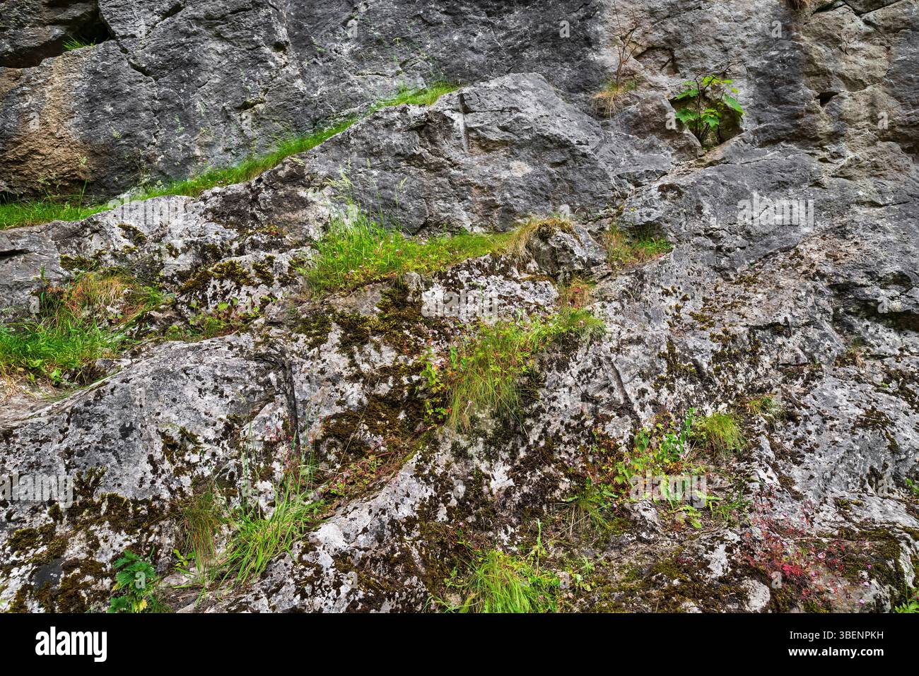 Castleton Quarry The abandoned limestone quarry near the base of Cave Dale in Castleton ...