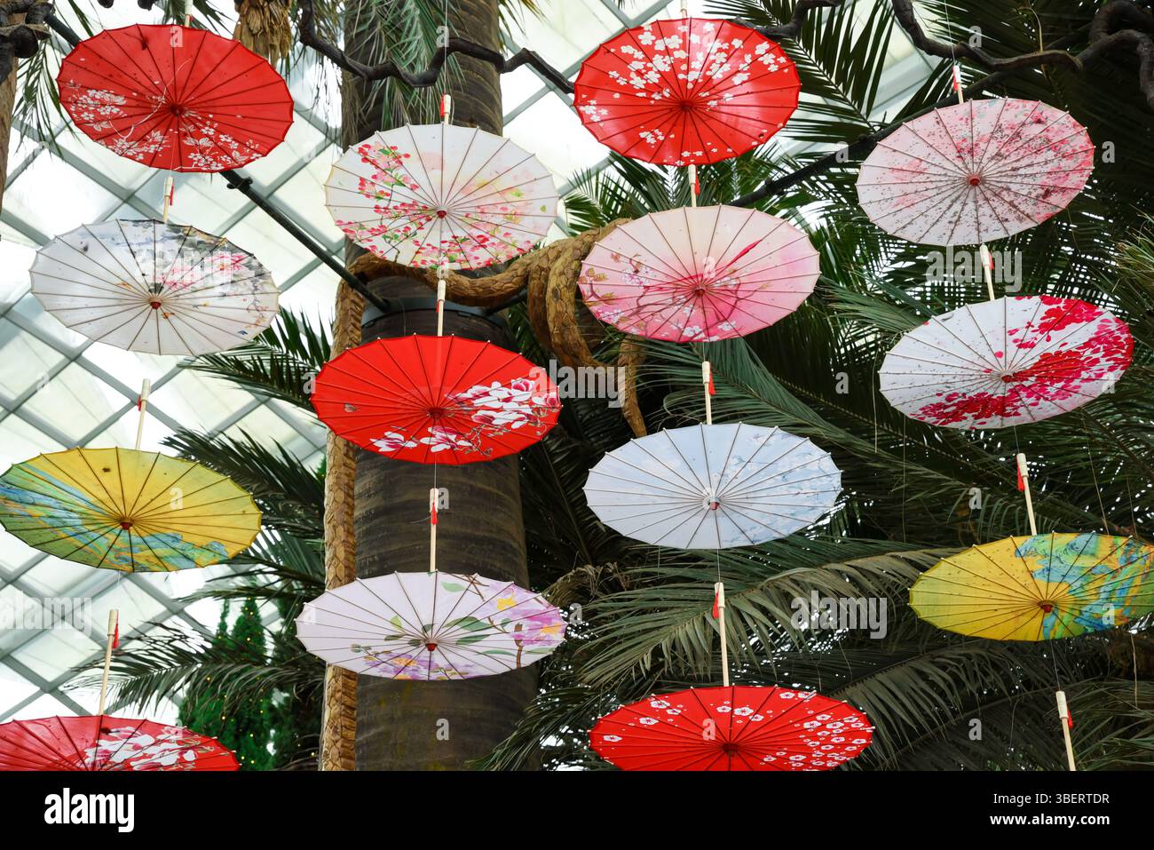Singapore, Singapore - 4 April 2025: Traditional paper parasols in vibrant colors hang decoratively at Flower Dome Gardens by the Bay, celebrating spr Stock Photo