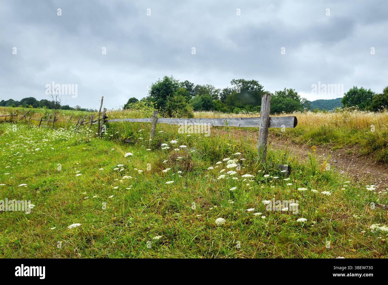 rural field behind the wooden fence. countryside landscape in mountains on a rainy day. organic haystack on the meadow Stock Photo