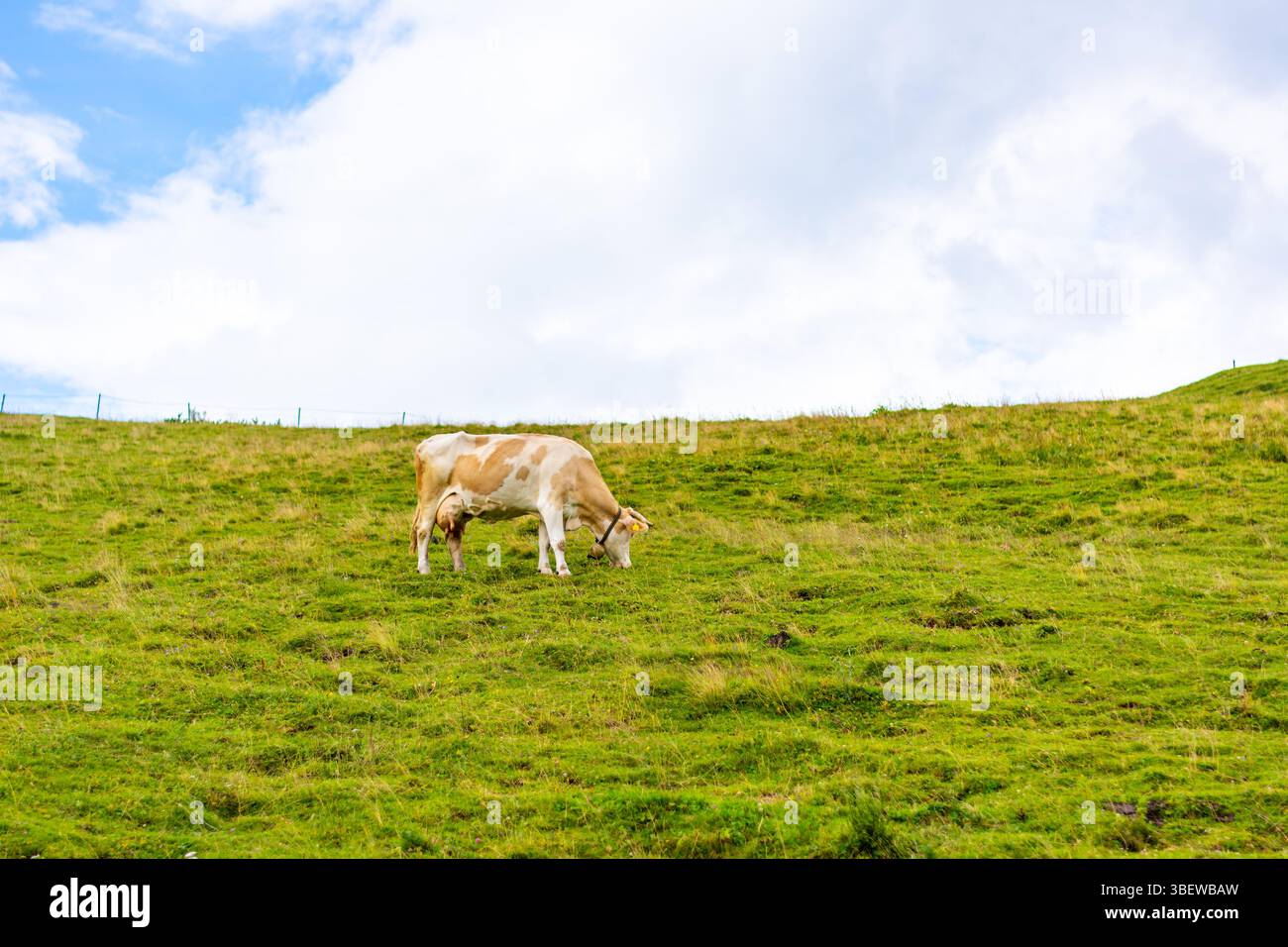 Big pasture plateau velika hi-res stock photography and images - Alamy