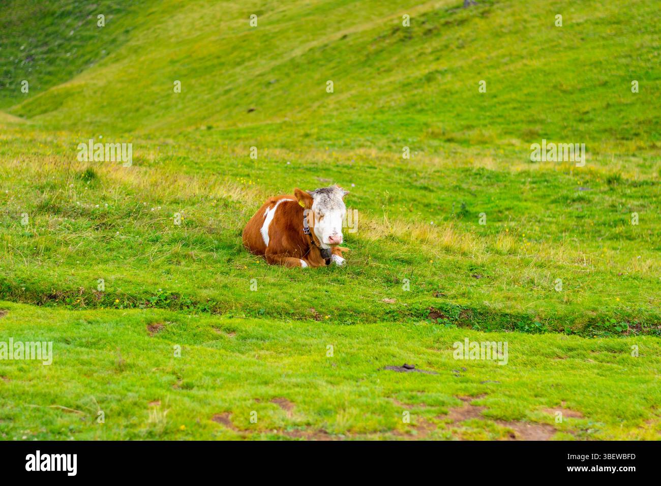 Big pasture plateau velika hi-res stock photography and images - Alamy