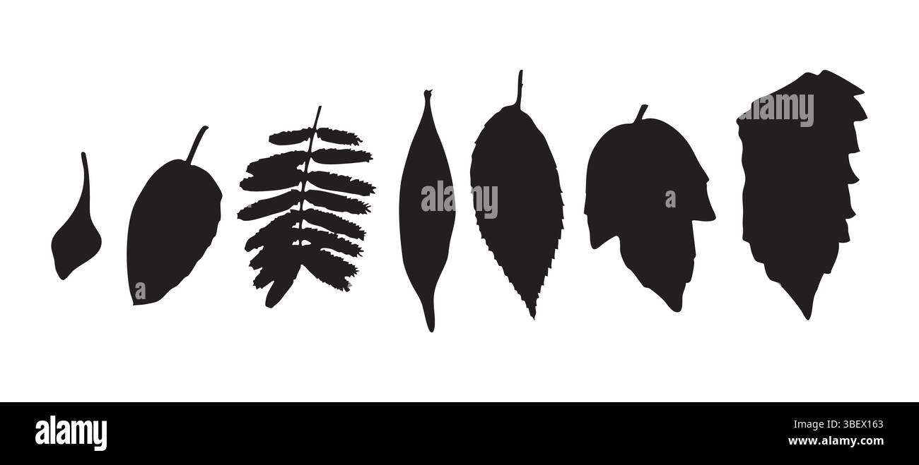 Assorted Tree Leaf Silhouettes in a Row on White Background Stock Vector