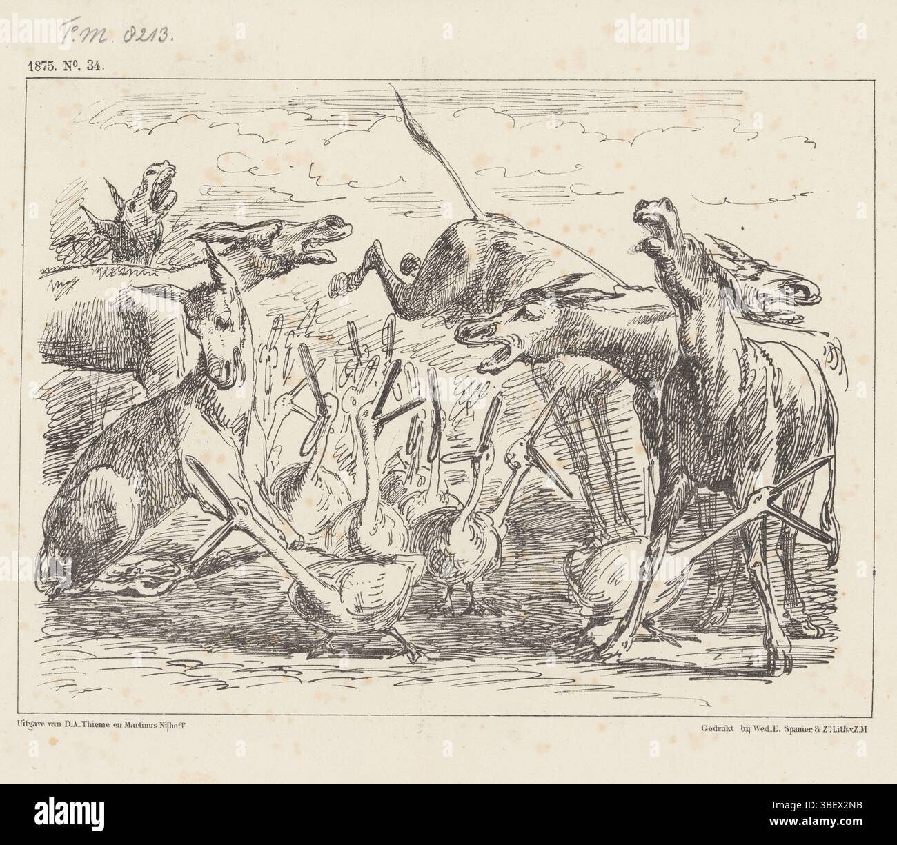 Balking donkeys hi-res stock photography and images - Alamy