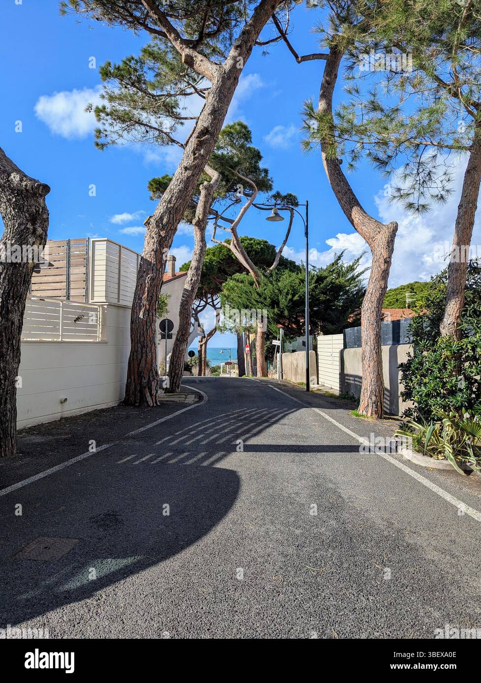 Wandering around the streets of Castiglioncello - Smartphone Captured Stock Image