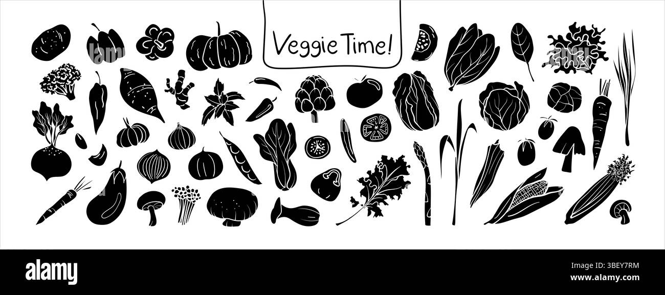 Illustrations artichoke Black and White Stock Photos & Images - Alamy