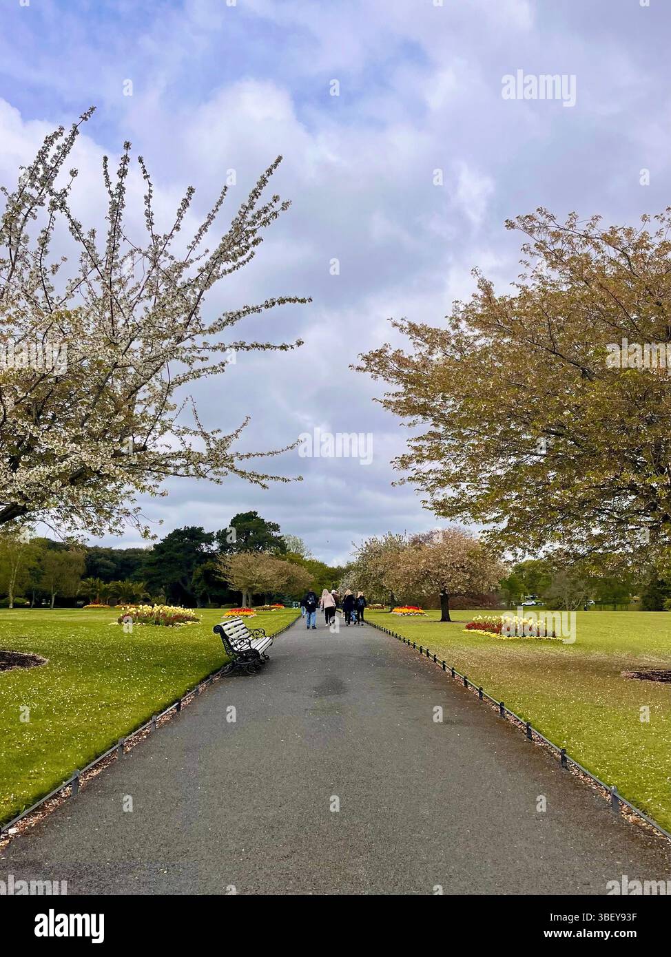An aesthetic park in the heart of Dublin in Ireland, United Kingdom, Europe on a sunny day in Spring. - Smartphone Captured Stock Image