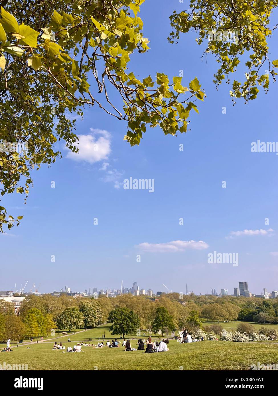 Primrose Hill, an iconic lookout in London City, England, United Kingdom, Europe on a sunny day in Spring. - Smartphone Captured Stock Image