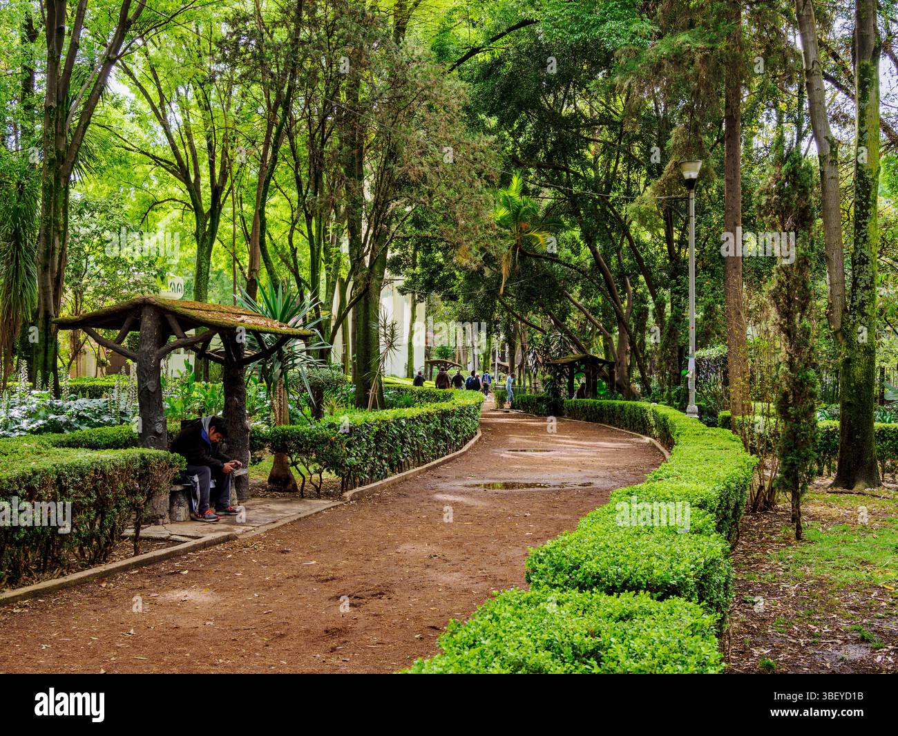 Recreational space mexico city hi-res stock photography and images - Alamy