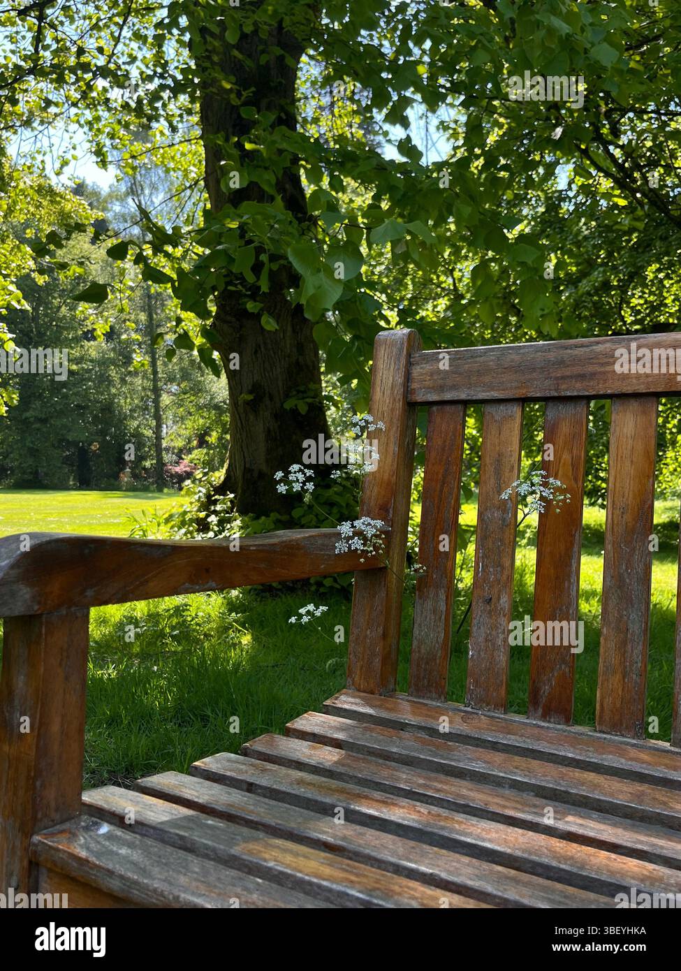 The aesthetic and calming English Countryside in England, United Kingdom, Europe on a sunny day in Spring. - Smartphone Captured Stock Image