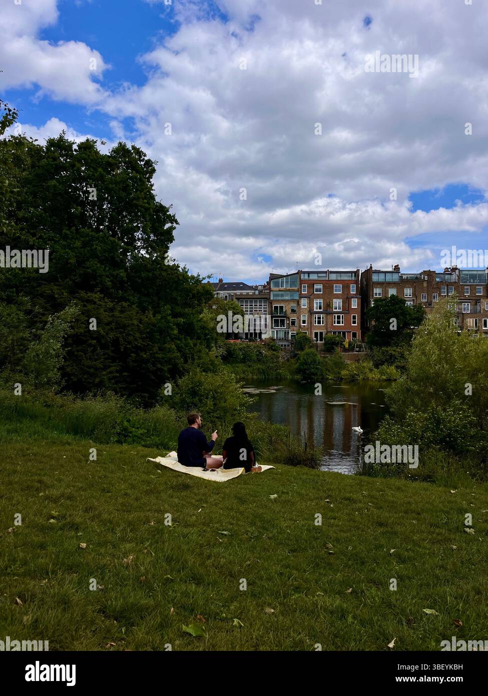A couple on a romantic picnic date in Hampstead Heath next to a swan swimming on the pond on a sunny day in Spring in London, England, United Kingdom. - Smartphone Captured Stock Image