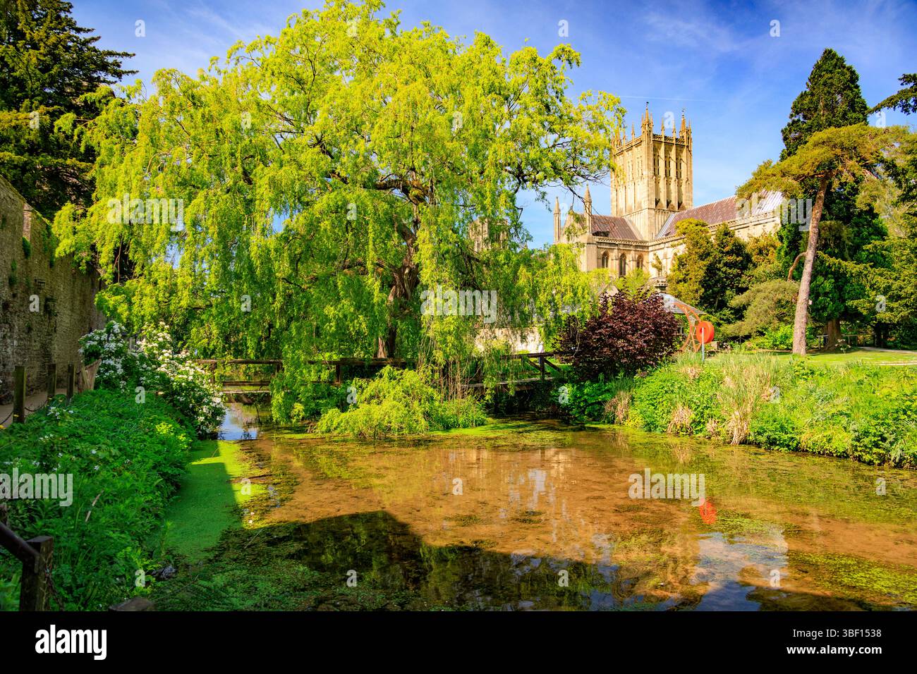 Wells Cathedral viewed from the Bishop's Palace moat and gardens, Wells, Somerset, England, UK Stock Photo