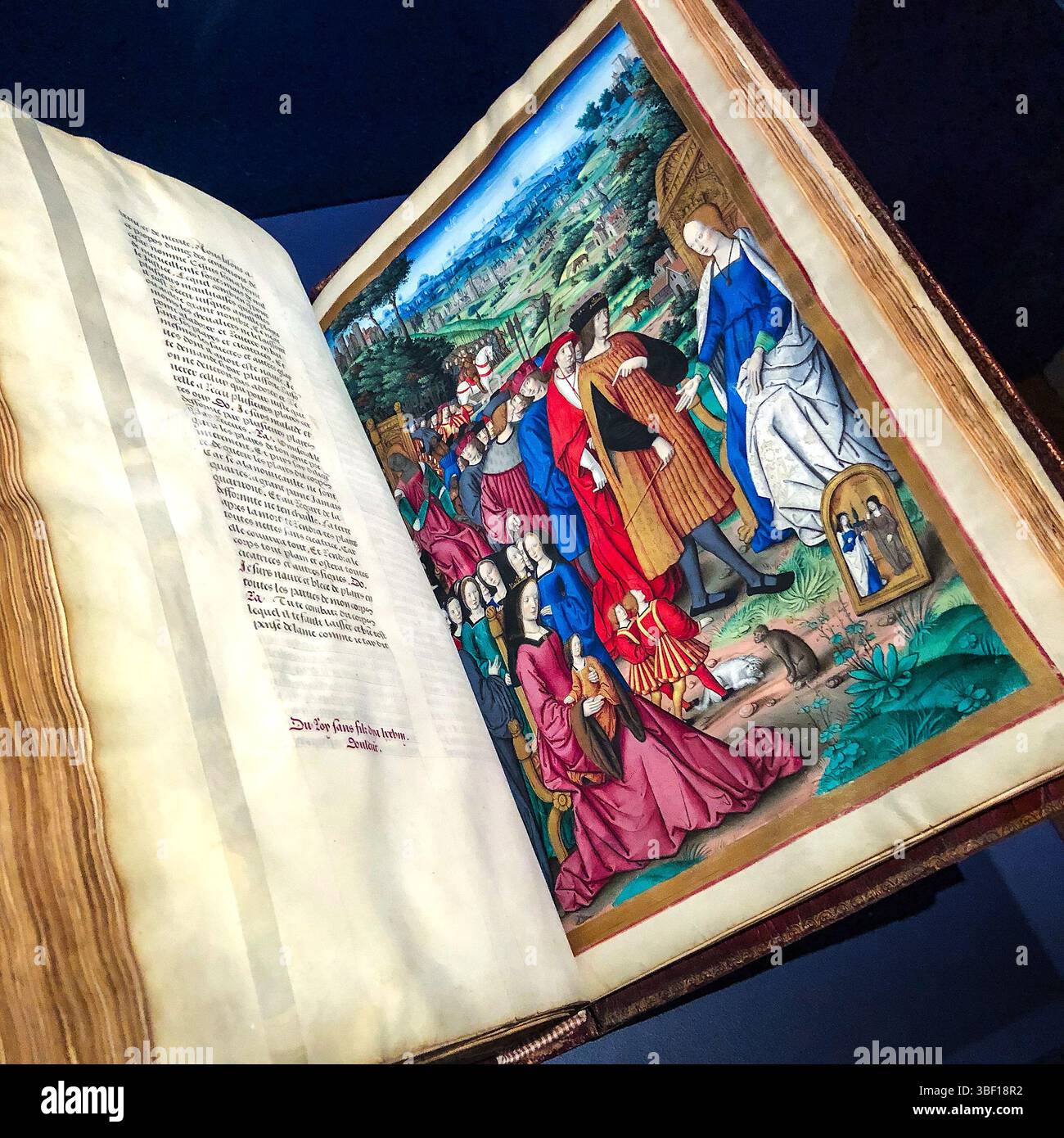 Medieval manuscript king hi-res stock photography and images - Alamy