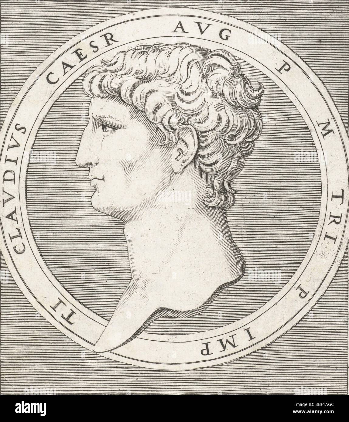 I 153 hi-res stock photography and images - Page 8 - Alamy