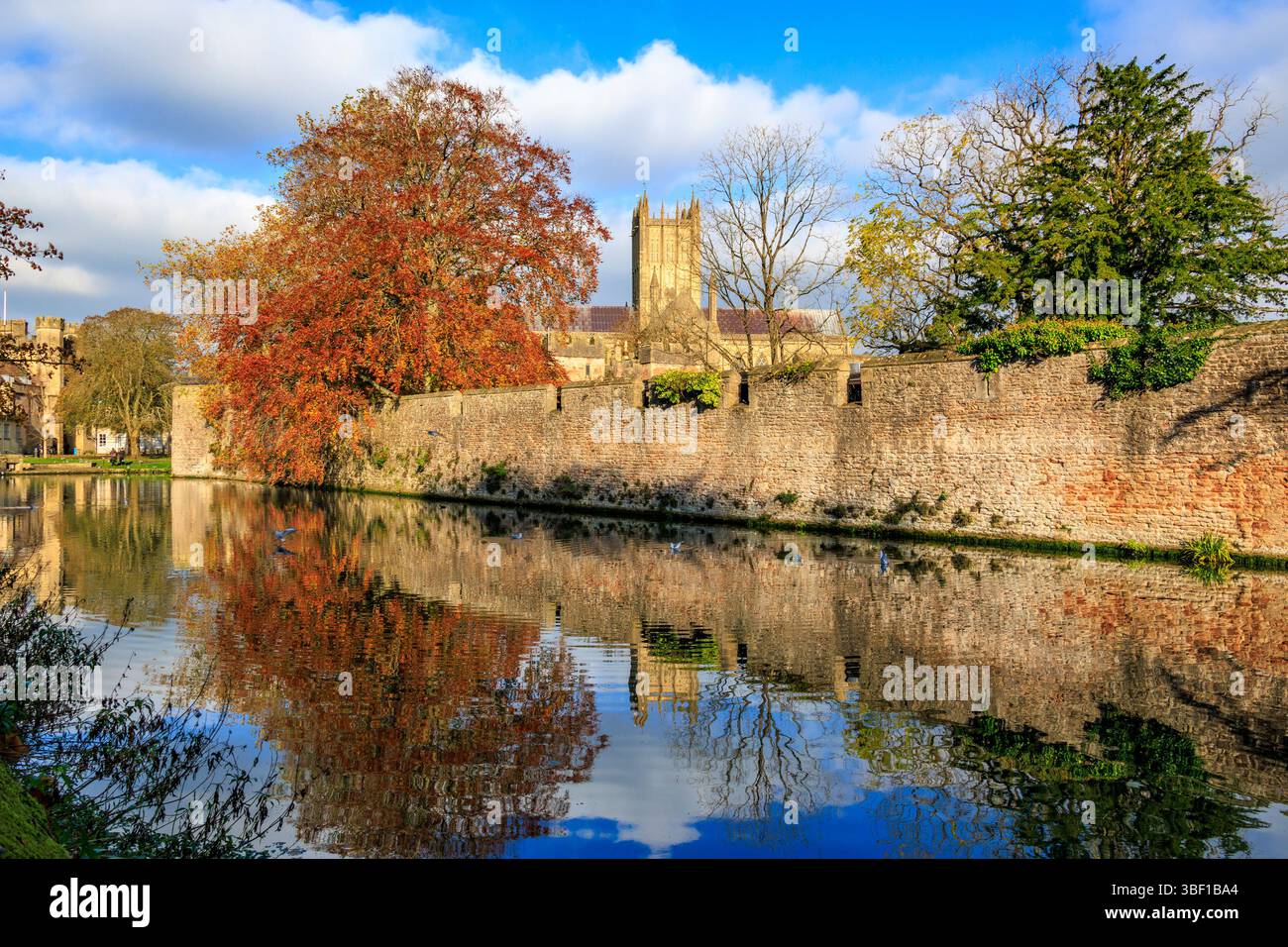 Wells Cathedral and the Bishop's Palace garden wall and moat with mirror-like reflections in autumn, Wells, Somerset, England, UK Stock Photo