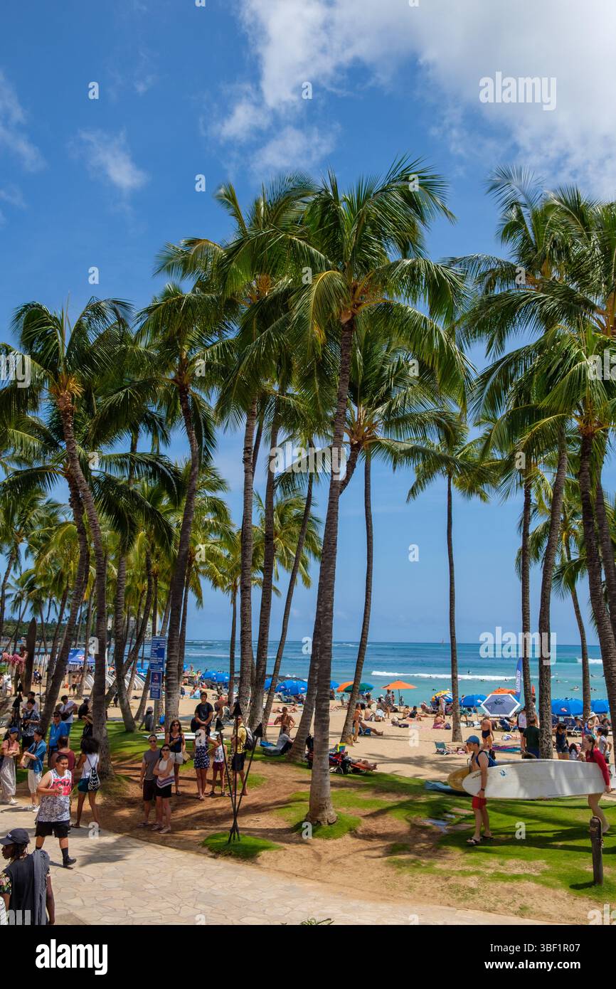 Crowds on waikiki beach hi-res stock photography and images - Alamy