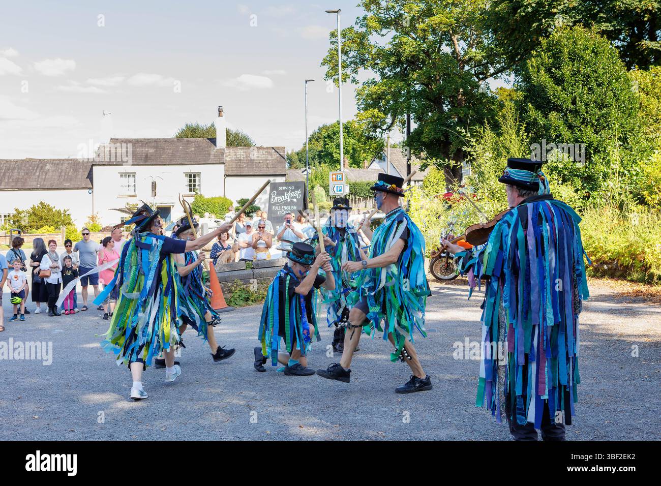 Reed dance festival hi-res stock photography and images - Alamy