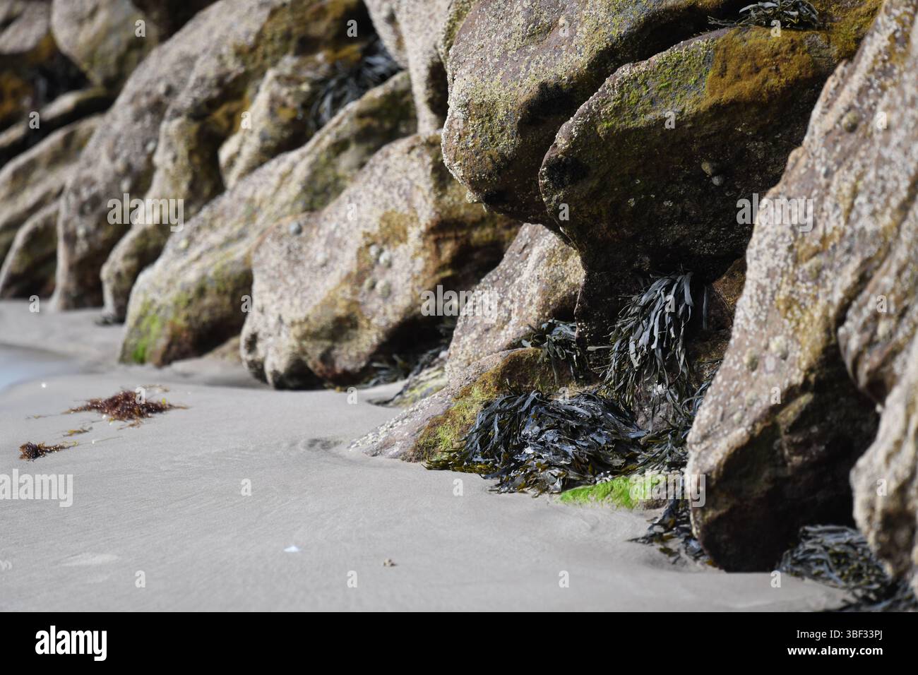 Rocky beach Stock Photo
