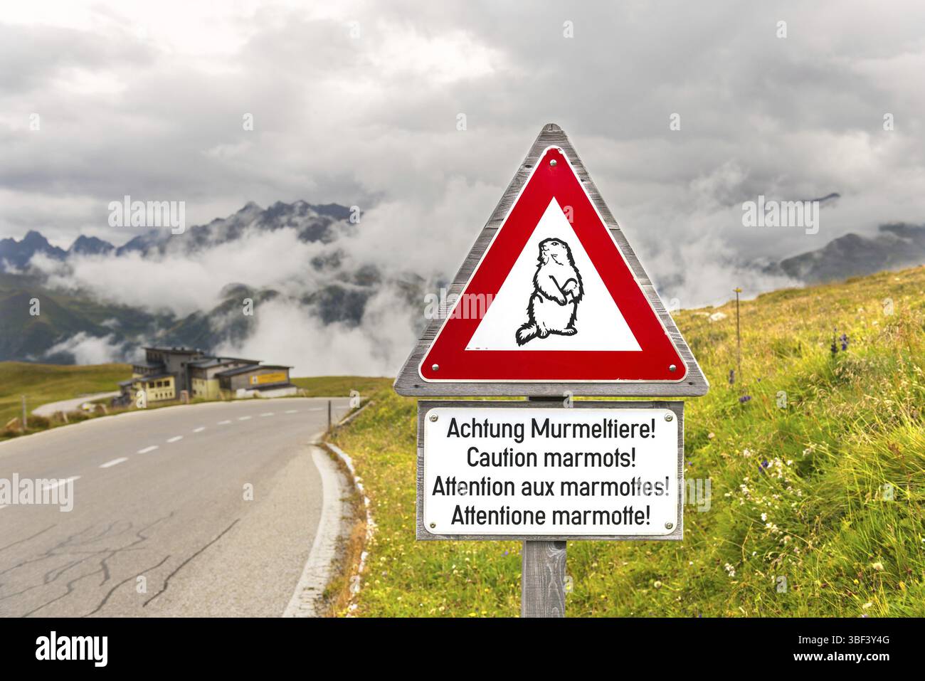 Caution marmots traffic sign on an Alpine road in Austria Stock Photo ...