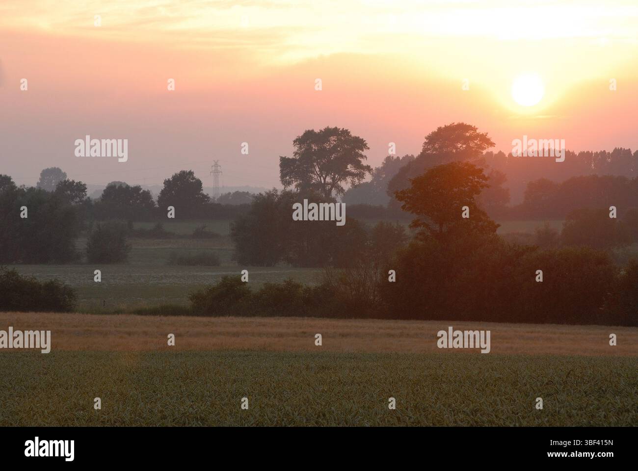 Backlit landscape at sunrise, abstract texture with trees and fields in ...