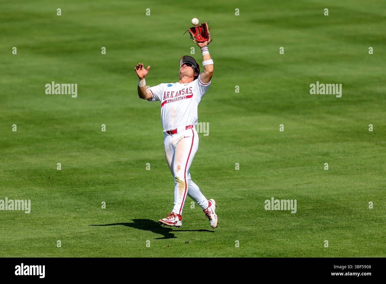 Defeated Razorback May 30, 2025: Razorback second baseman Cam Kozeal (8) drifts back under ...