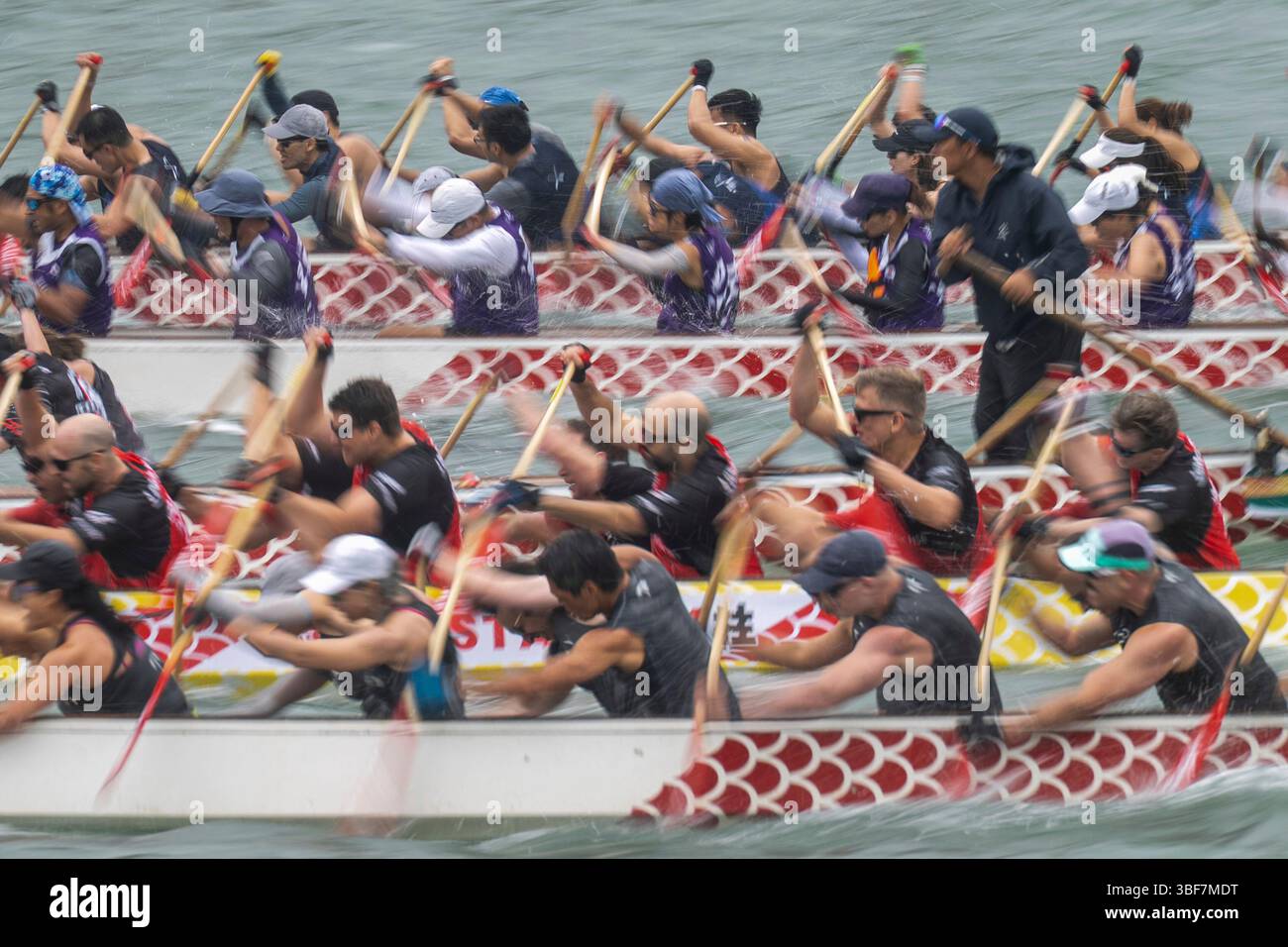 Competitors take part in the Stanley International Dragon Boat