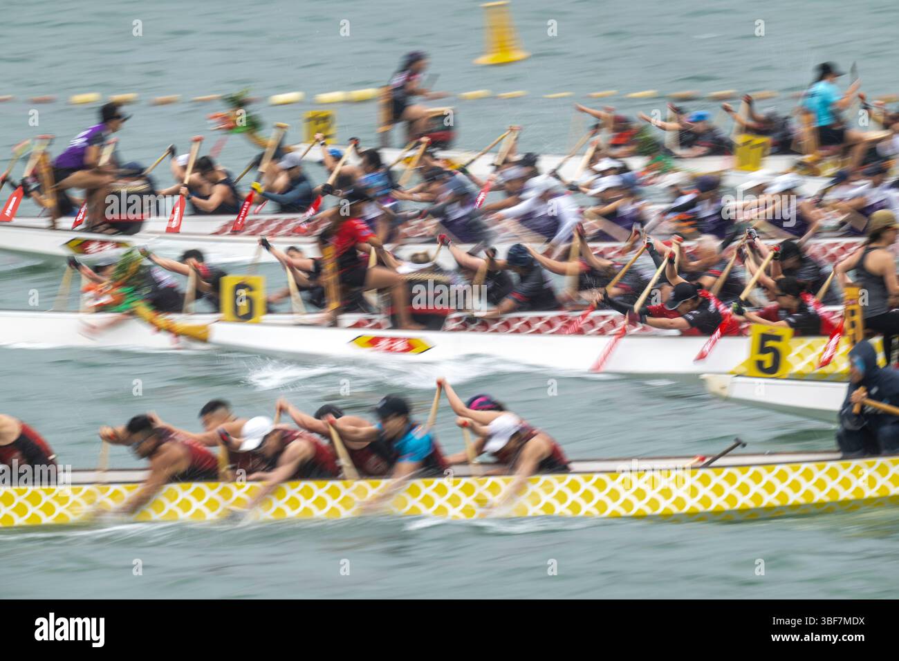 Competitors take part in the Stanley International Dragon Boat