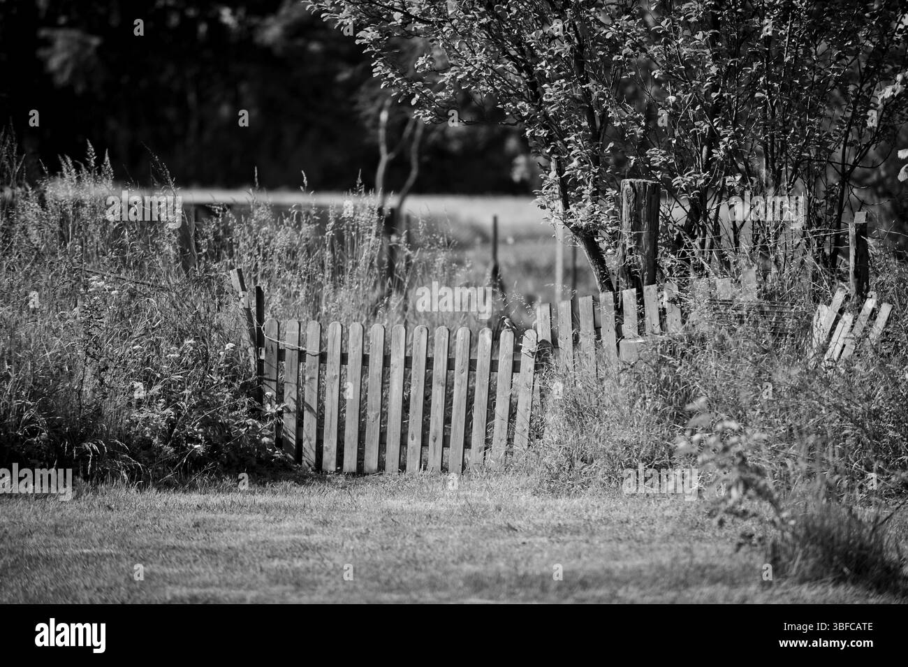 Fruit growing meadow Black and White Stock Photos & Images - Alamy
