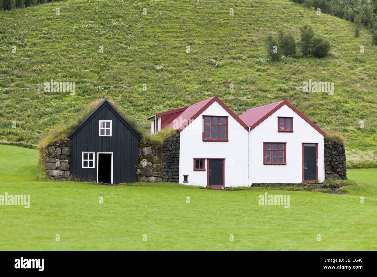 Typical Rural Icelandic houses at green meadow Stock Photo