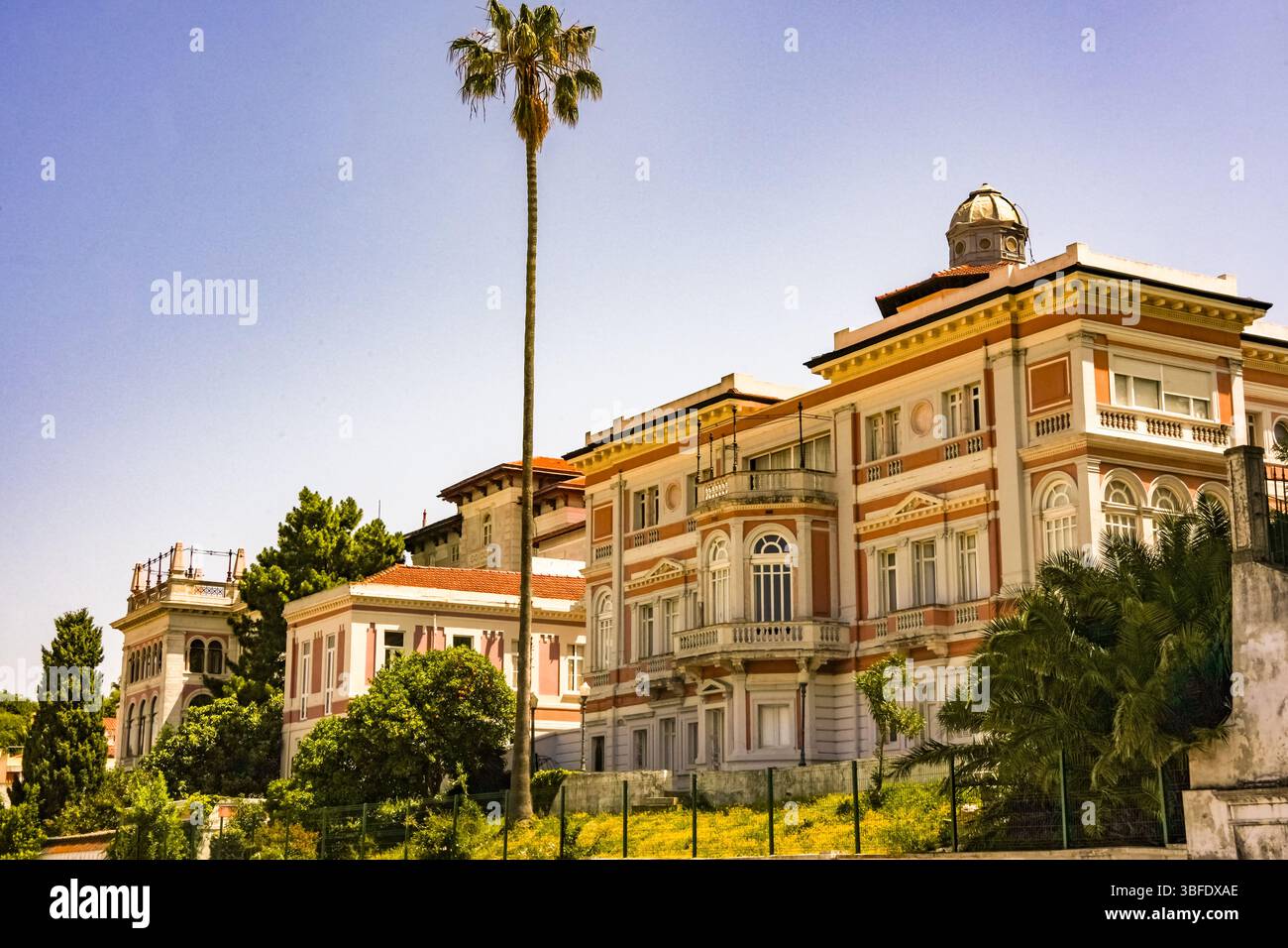 Elegant historic mansions with ornate balconies and dome under palm tree against purple twilight sky in upscale Lisbon neighborhood Stock Photo