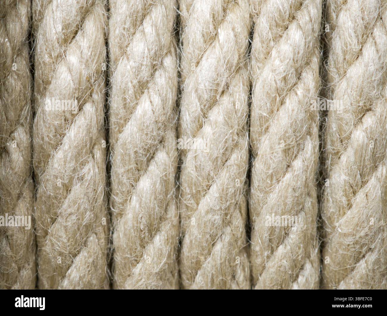 Soft String Texture