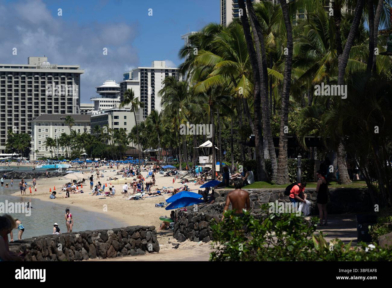 Honolulu beach palm trees hi-res stock photography and images - Alamy