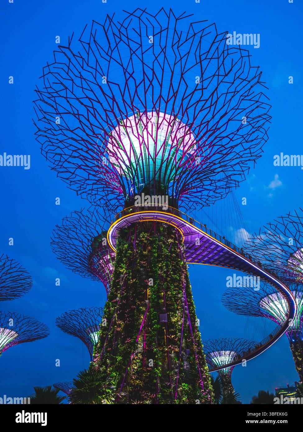 First Tree Like Structures Tree like structures hi-res stock photography and images - Alamy