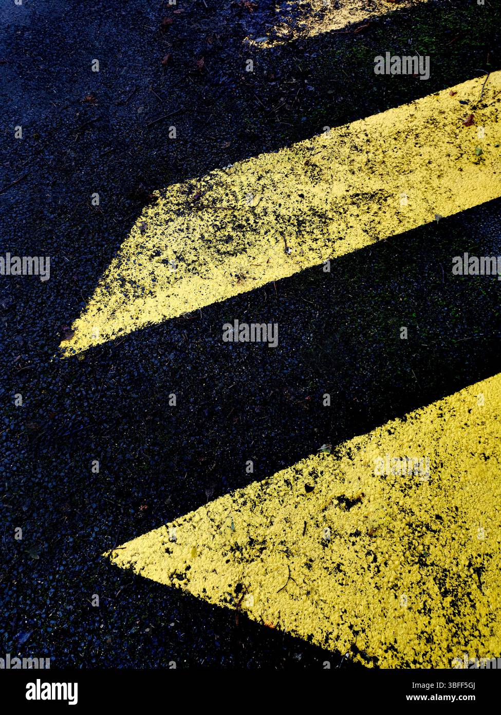 Bright yellow chevrons stand out against a dark asphalt surface, blending nature and urban elements as fallen leaves gather in the cracks - Smartphone Captured Stock Image