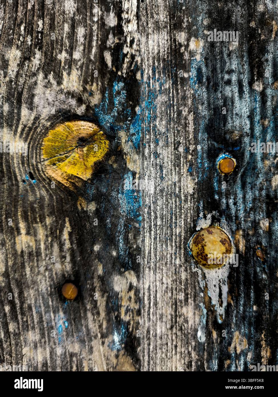 Close-up view of an old wooden surface featuring yellow and blue paint splatters. The texture reveals the wear and age of the material - Smartphone Captured Stock Image