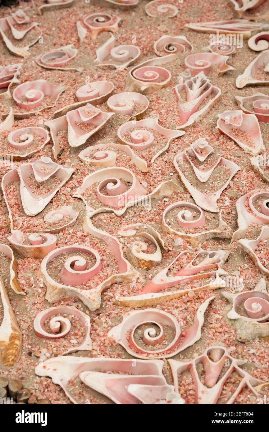 Shell patterns in sand Stock Photo - Alamy